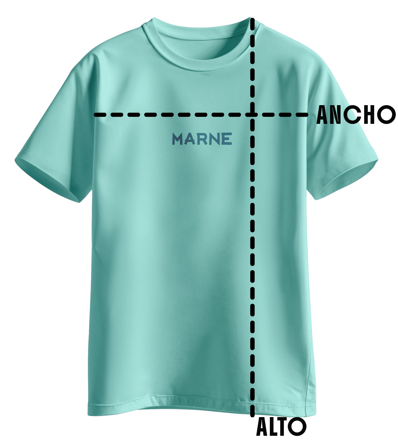 Camiseta con medidas ancho y alto
